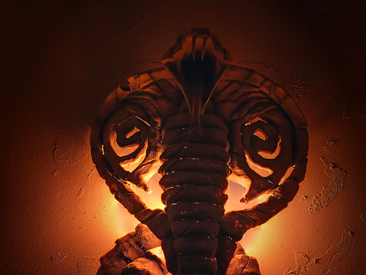 IMG_20251205_144841-resize